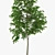 Urban Arboreal 3D Model 3D model small image 2