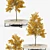 Tree Flowerbed: Green & Yellow Royalty 3D model small image 3