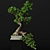 55cm Bonsai Tree: Realistic 3D Model 3D model small image 1