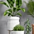 Botanical Bliss: Decorative Planter Set 3D model small image 2