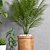 Botanical Bliss: Decorative Planter Set 3D model small image 3
