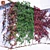 Parthenocissus Grape Climbing Plant 3D model small image 2