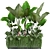 Tropical Plant Collection: Exotic Flora at Your Fingertips 3D model small image 1