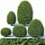 Precise Greenery: Taxus Topiary Set 3D model small image 1