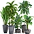 Tropical Plant Collection: Exotic Palms & Banana Palm 3D model small image 1