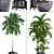 Tropical Plant Collection: Exotic Palms & Banana Palm 3D model small image 2