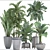 Tropical Plant Collection: Exotic Palms & Banana Palm 3D model small image 3