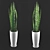 Lush Sansevieria Plant: FBX & OBJ Files 3D model small image 1