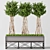 Elegant English Ivy Topiary: Perfect Green Accent 3D model small image 1