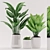 Green Paradise: Aspidistra Plant with White Pot 3D model small image 1