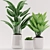 Green Paradise: Aspidistra Plant with White Pot 3D model small image 2