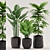 Title: Tropical Plants Bundle with Black Pot 3D model small image 1