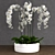 Exquisite Orchid Model 3D model small image 1