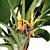 Tropical Strelitzia Nicolai: Exotic Garden Ornamental 3D model small image 2