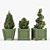 Lush Buxus Green Pot 3D model small image 1