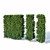 Premium Taxus Baccata Hedge 3D model small image 2