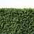 Premium Taxus Baccata Hedge 3D model small image 3