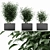 33 Plant Varieties Bundle 3D model small image 1