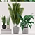 Tropical Trio: Paradise, Sansevieria & Palm 3D model small image 1