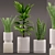 Sansevieria & Palm Combo 3D model small image 1