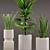 Sansevieria & Palm Combo 3D model small image 2