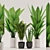 Tropical Plant Collection - 105 Varieties 3D model small image 1