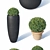 Buxus microphylla - Versatile Low Poly Plant 3D model small image 2