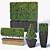 Versatile Buxus Microphylla Hedge 3D model small image 1