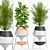 Stylish Plant Set: Decorate with Greenery 3D model small image 1