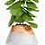 Stylish Plant Set: Decorate with Greenery 3D model small image 3