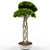 Lush Ficus Retusa: Realistic 3D Model 3D model small image 1