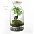 Woodland Wonder Miniature Terrarium 3D model small image 1