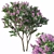 Lilac Breeze: Syringa vulgaris #3 3D model small image 1