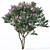 Lilac Breeze: Syringa vulgaris #3 3D model small image 3