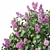 Lilac Bush Collection: 3 Sizes 3D model small image 3