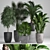 Exotic Plant Collection: Ficus, Palms, and More 3D model small image 1