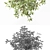 Luxury Ficus Plant: Elegant Greenery 3D model small image 3