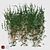 Evergreen Ivy Wall Covering - 3x3m 3D model small image 1