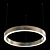 Stylish LED Ring Chandelier 3D model small image 1