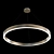 Modern LED Ring Pendant Light 3D model small image 1