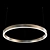 Modern LED Ring Chandelier (160cm) 3D model small image 1