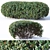 Versatile Cotoneaster Hedge: Seamless & Customizable 3D model small image 1