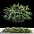 Xanadu Outdoor Greenery Kit 3D model small image 1