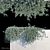 Snowy Correa Creeper 3D model small image 1