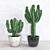 Sleek Cactus Sculpture 3D model small image 1