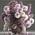 Spring Blossom Bouquet 3D model small image 3