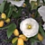 Elegant Floral Vase 3D model small image 3