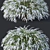 Grefsheim Spirea: Versatile & Stunning 3D model small image 2