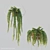 Donleytail: Hanging Burrostail Succulent 3D model small image 1