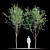 NextGen Urban Greenery: Street_Tree_v2 3D model small image 1